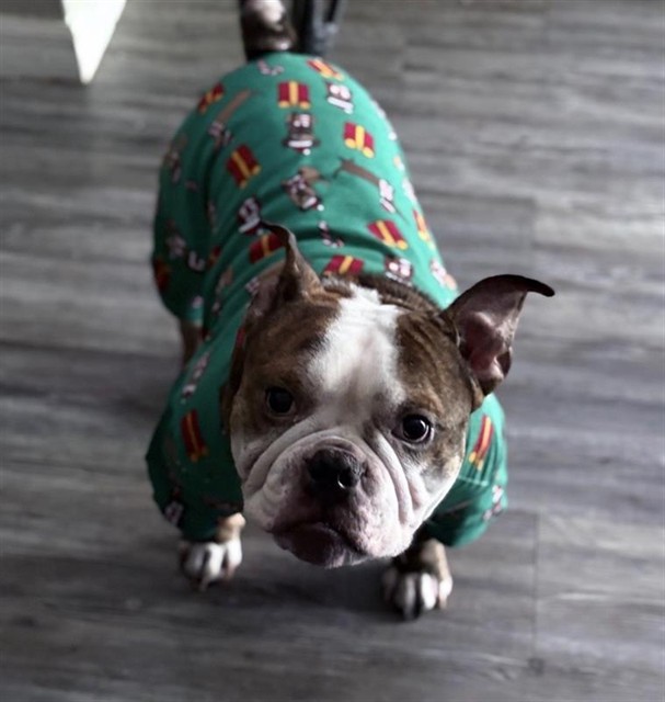 BRUNO
